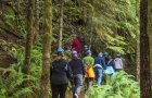 2022 July 6 Horne Lake Caves tour of Riverbend Cave