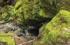 2022 July 6 Horne Lake Caves tour of Riverbend Cave