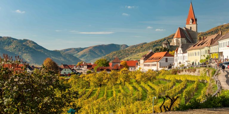 Vintage Vinos — Austrian  Tastings